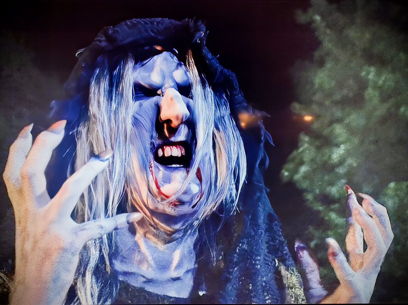 son of a witch